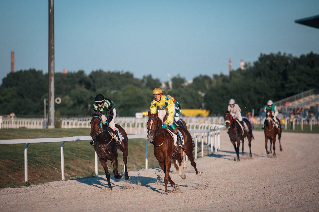 Betting On Horses and Horse Racing 101