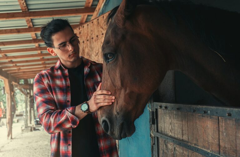 Should You Buy a Horse? – Horse Management And Care