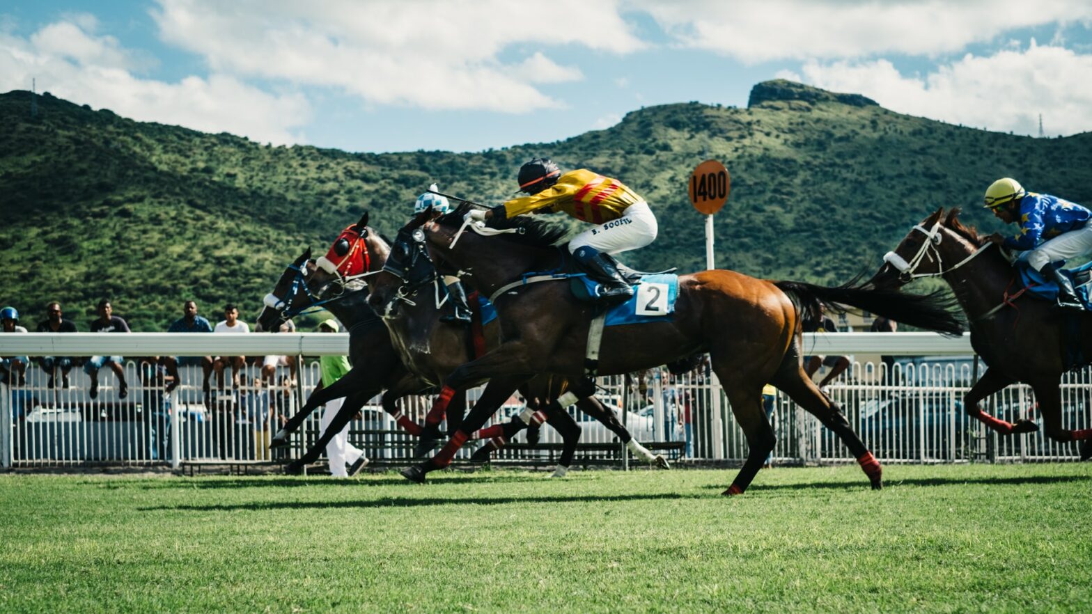 Is Horse Racing Dangerous? – The Dangers of Speeding Horses