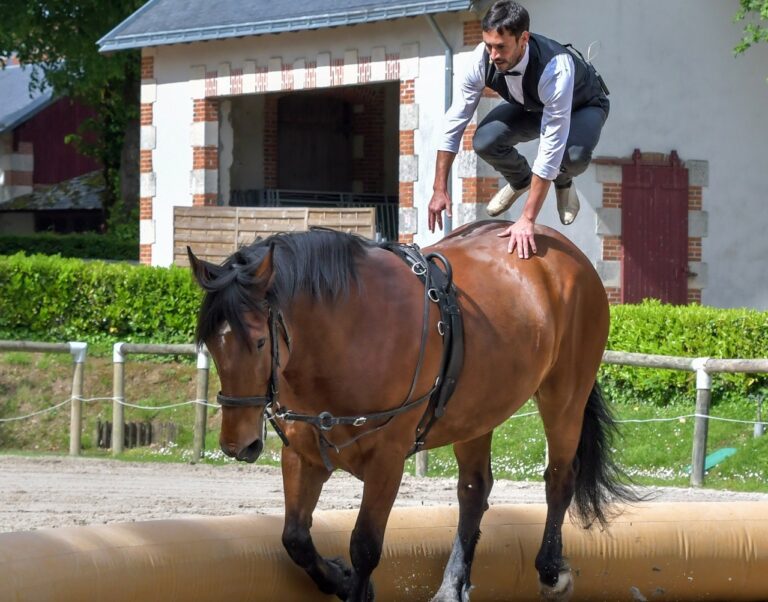 What is Equestrian Vaulting?