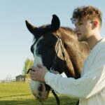 5 Best Horse Names for Your Horse