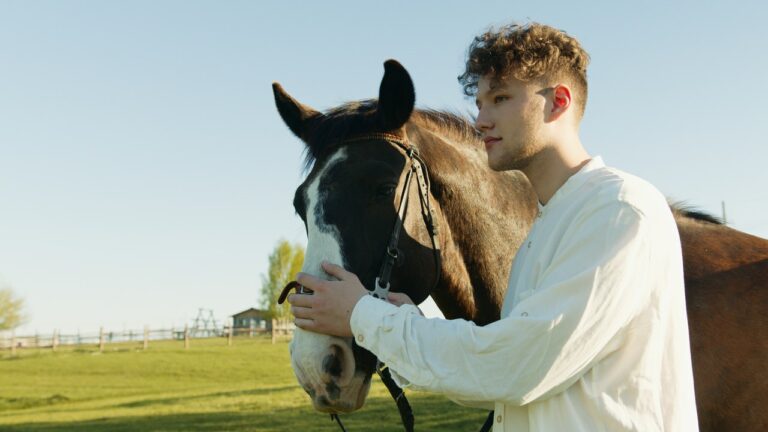 5 Best Horse Names for Your Horse