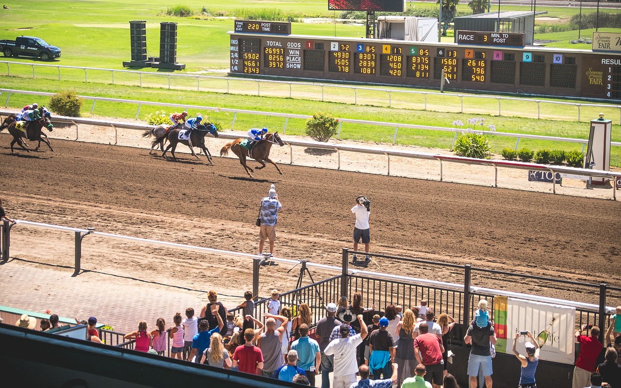 How to Know Which Horse to Bet On?