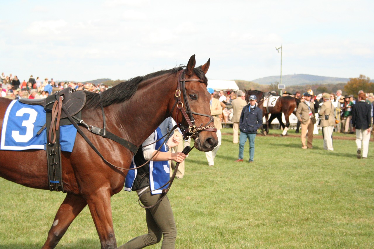 Proper Etiquette at a Horse Race – Go to Horse Races Prepared