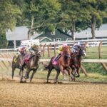 How to Get Into Horse Racing