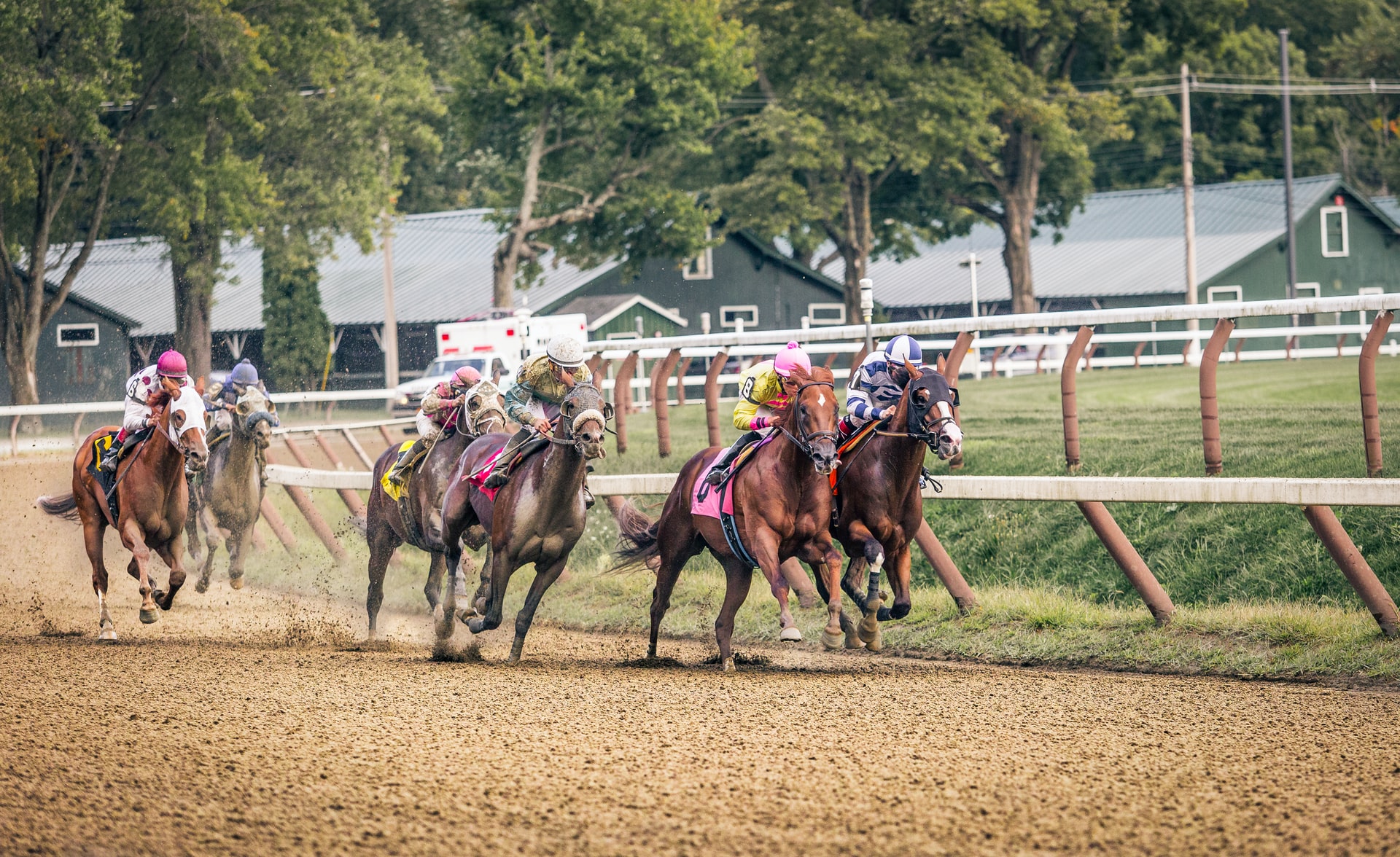 How to Get Into Horse Racing
